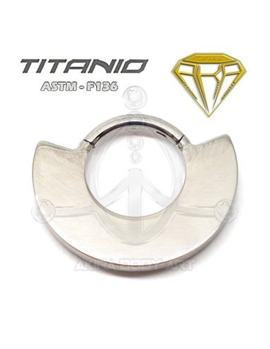 Aro Joyas estilo étnico
