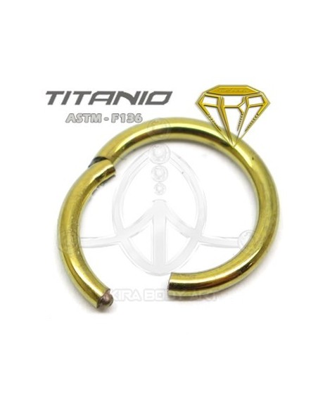 Aro Seg. Bisagra ORO - TTANIO ANODIZADO Aro Seg. Bisagra ORO - TTANIO ANODIZADO