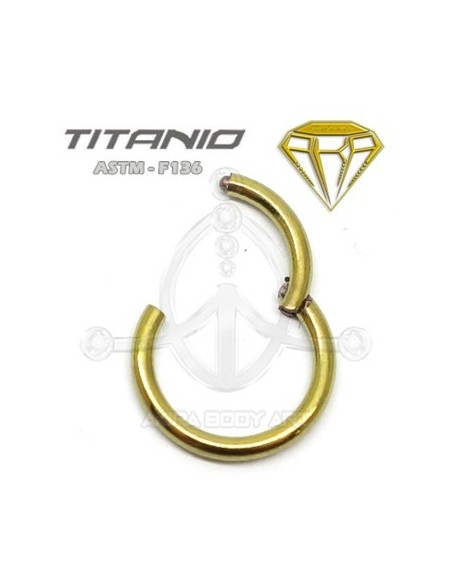 Aro Seg. Bisagra ORO - TTANIO ANODIZADO Aro Seg. Bisagra ORO - TTANIO ANODIZADO