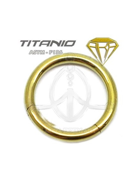 Aro Seg. Bisagra ORO - TTANIO ANODIZADO Aro Seg. Bisagra ORO - TTANIO ANODIZADO